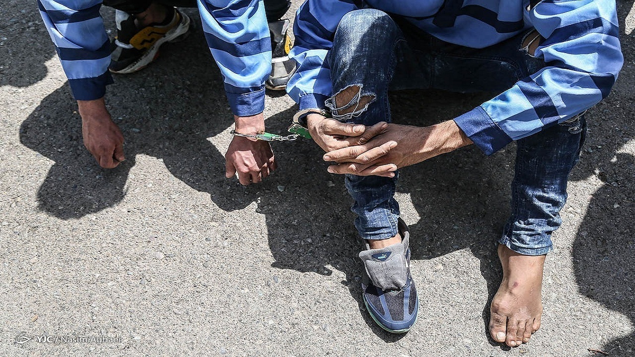 سارق باغ و مزارع ملایر دستگیر شد