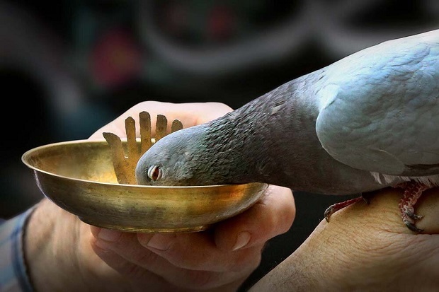 عکس «عاشورا» چگونه ماندگار میشود؟ / قابهای برخاسته از باور عکس «عاشورا» چگونه ماندگار میشود؟ / قابهای برخاسته از باور