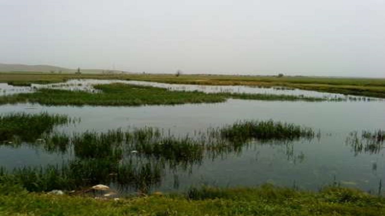 ثبت آئین ۴۰۰ ساله شکرگزاری تالاب به عنوان میراث ناملموس در انتظار آرام شدن شیوع کرونا