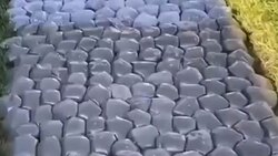 بخش خبری مجله خبری ۴ آذر ماه ۱۴۰۰ + فیلم