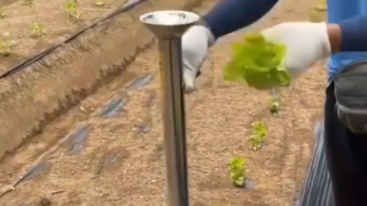 ابزاری جالب برای کاشت محصولات بدون دخالت مستقیم دست + فیلم