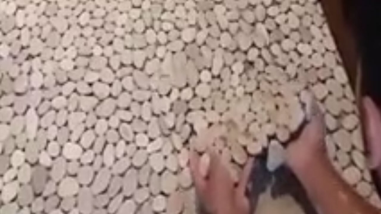 بخشی از فرایند جالب نصب سنگ ریزه روی زمین + فیلم