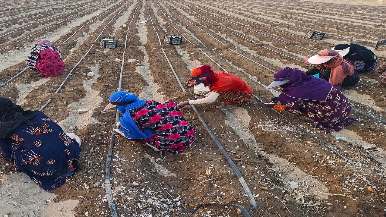کاهش بیکاری در روستاهای اصفهان