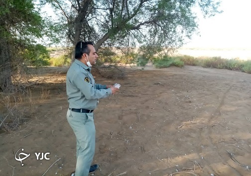 جمع آوری تور&zwnj;های پرنده گیری هندیجان در فصل شکار پرندگان