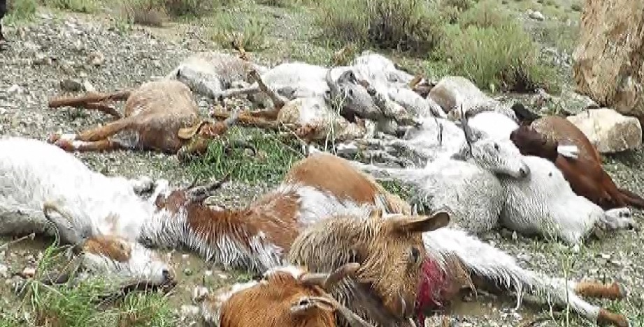 خسارت بارندگی در ۲۵ روستای بخش احمدی حاجی آباد