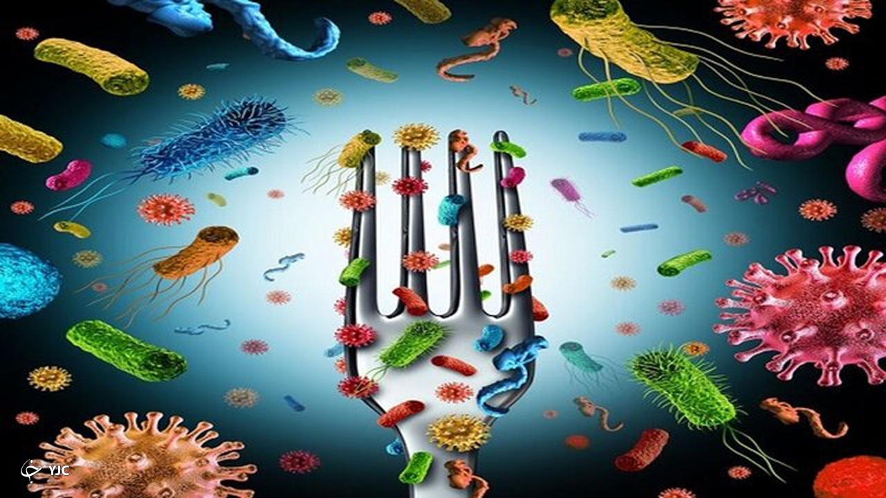 چه غذا‌هایی را قبل و بعد از تزریق واکسن کرونا مصرف نکنیم؟