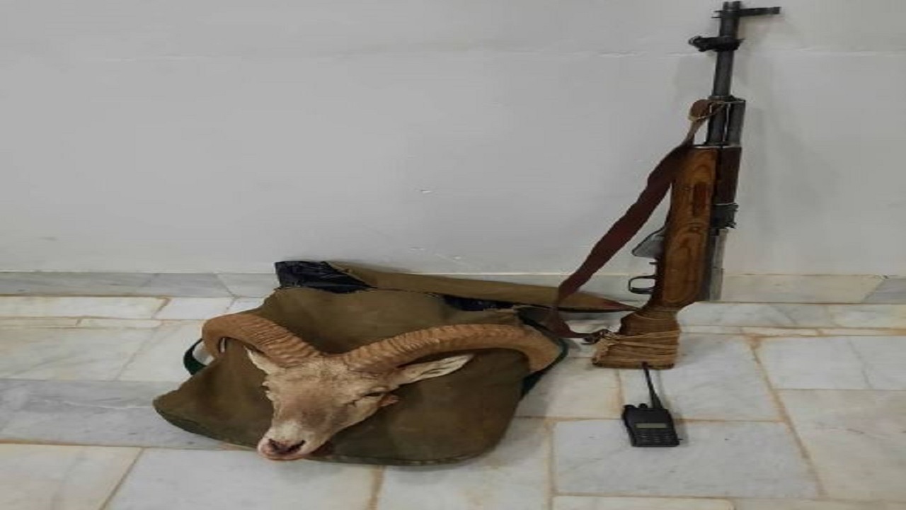 شکارچی غیر بومی در دام مأموران یگان حفاظت محیط زیست