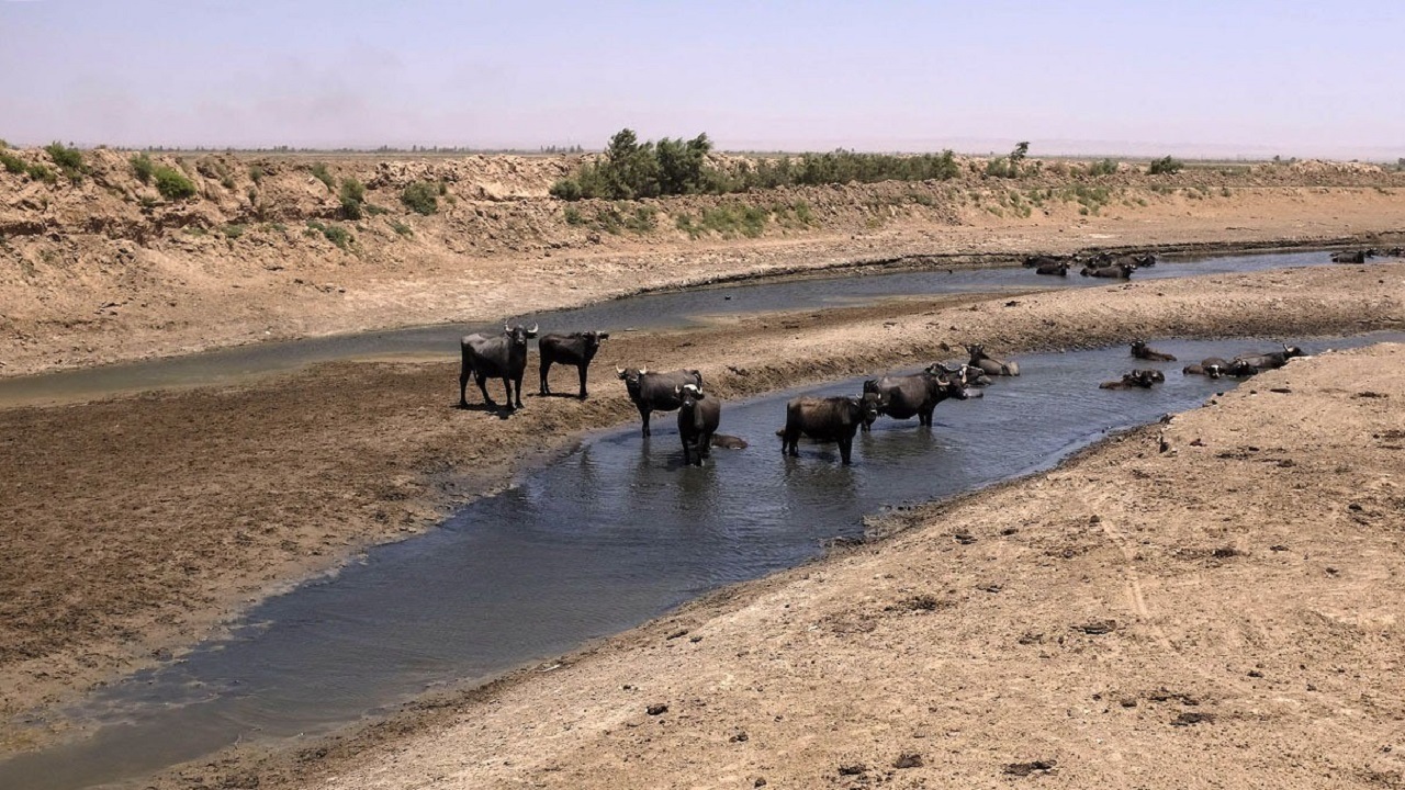 بی آبی خوزستان؛ اقدامات کوتاه مدت چاره کار است؟