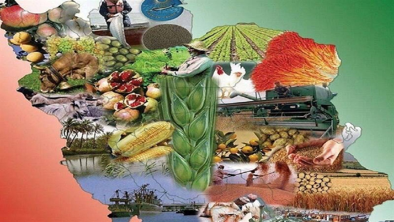 اجرای طرح ارتقای فرهنگ و سواد تغذیه‌ای در بام ایران