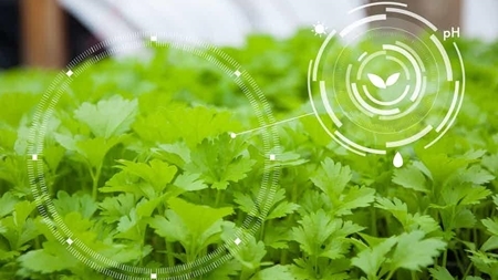 کاربردهای نانوفناوری را در کشاورزی بشناسیم