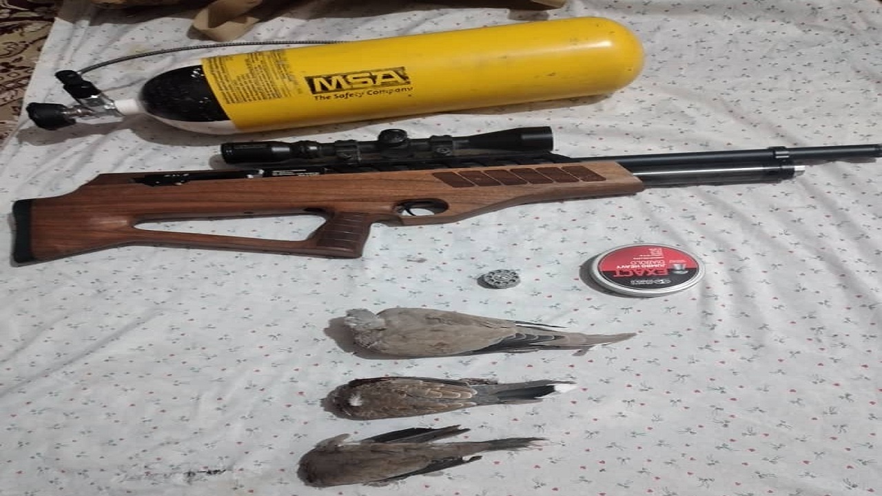 شکارچی متخلف در تنگ ارم دشتستان دستگیر شد