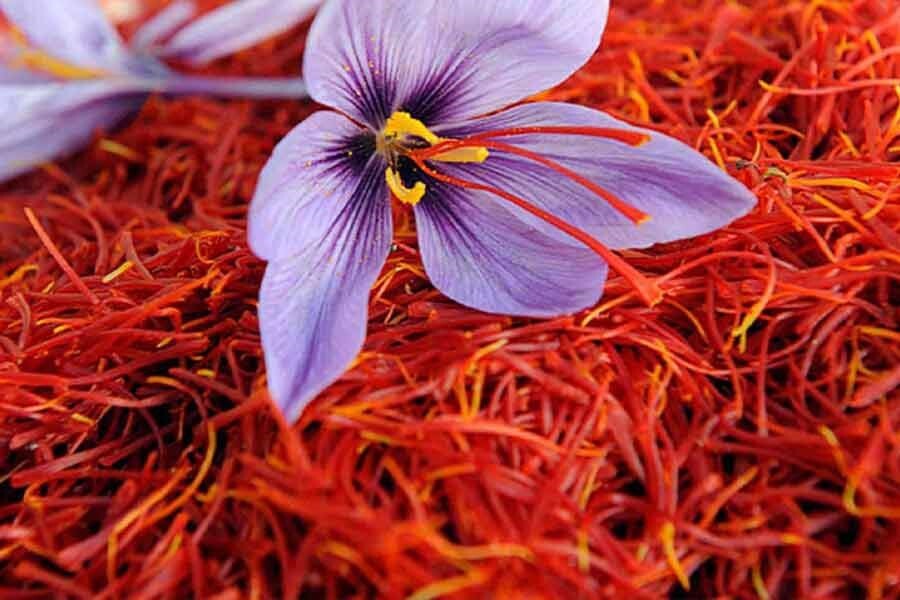 خواص زعفران برای بدن