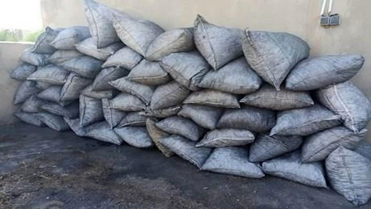 کشف فرآورده‌های جنگلی قاچاق در چوار
