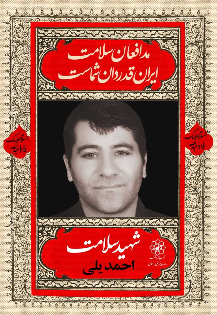اکران ۴۲ قاب تصویر مزین به&zwnj;عکس شهدای مدافع سلامت در مشهد