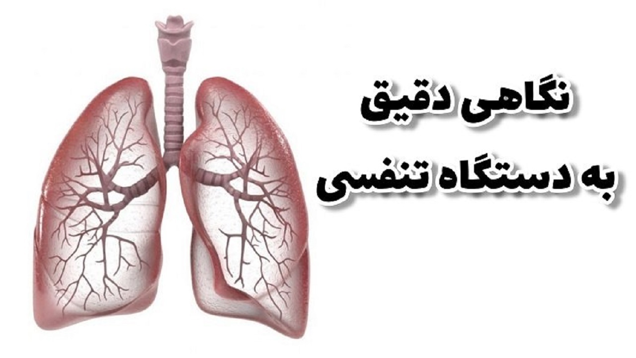حقایق باورنکردنی درباره دستگاه تنفسی که با شنیدن آن‌ها شگفت زده می‌شوید