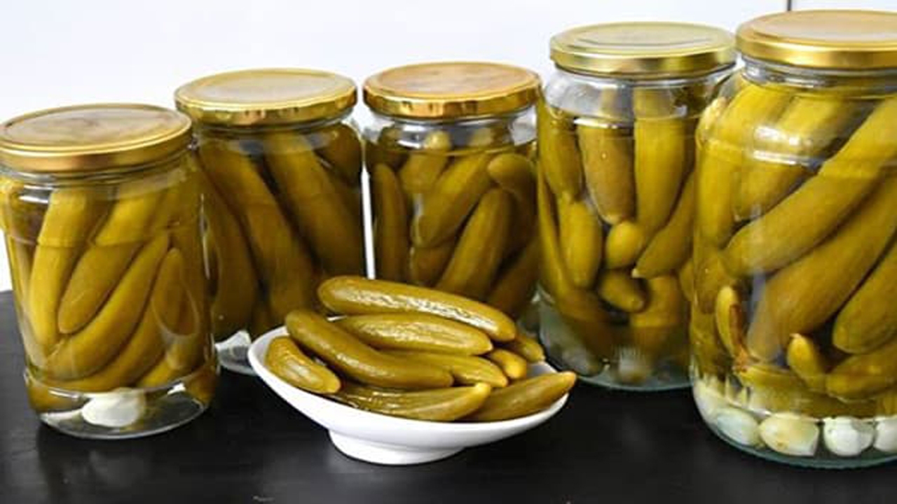 شیروان تولید کننده عمده خیارشور