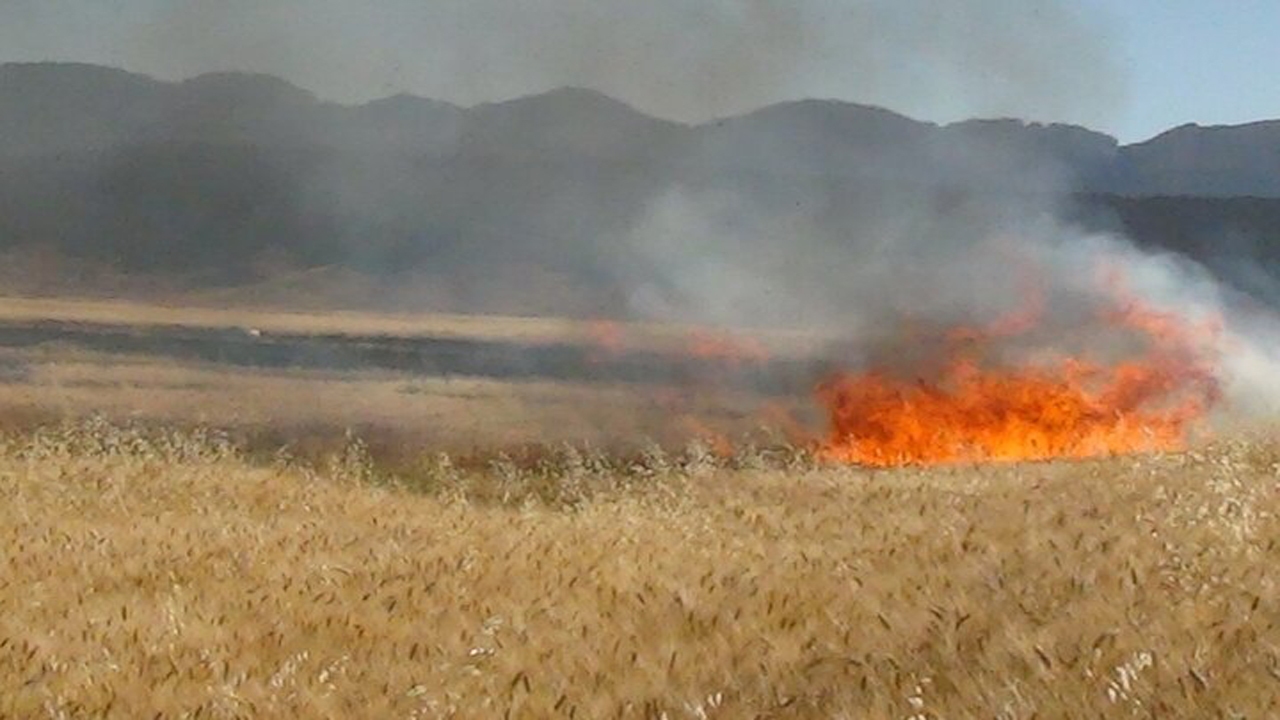 مهار حریق مراتع ترکمنستان در مرز خراسان شمالی