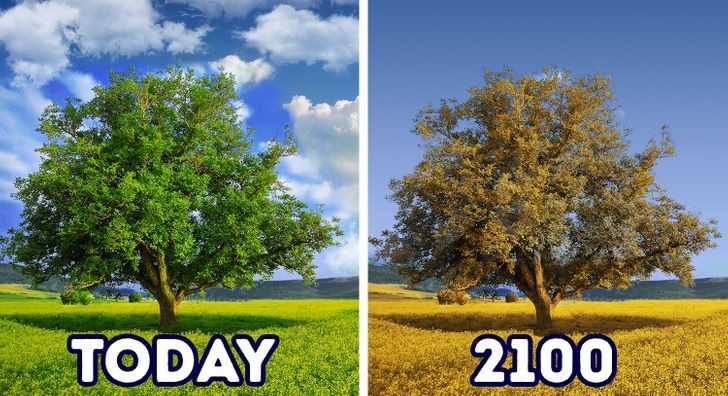 ۷ تغییر بزرگی که تا سال ۲۱۰۰ در دنیا رخ خواهد داد