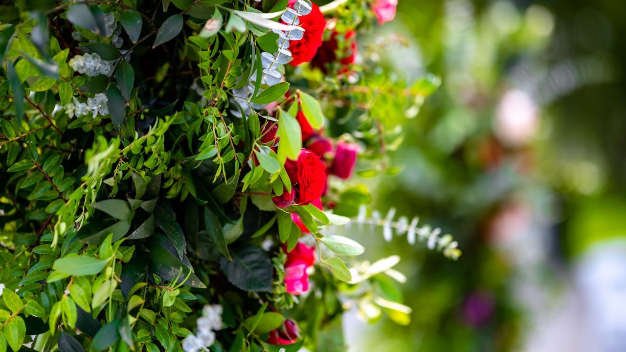 جذاب&zwnj;ترین تصاویر پس زمینه