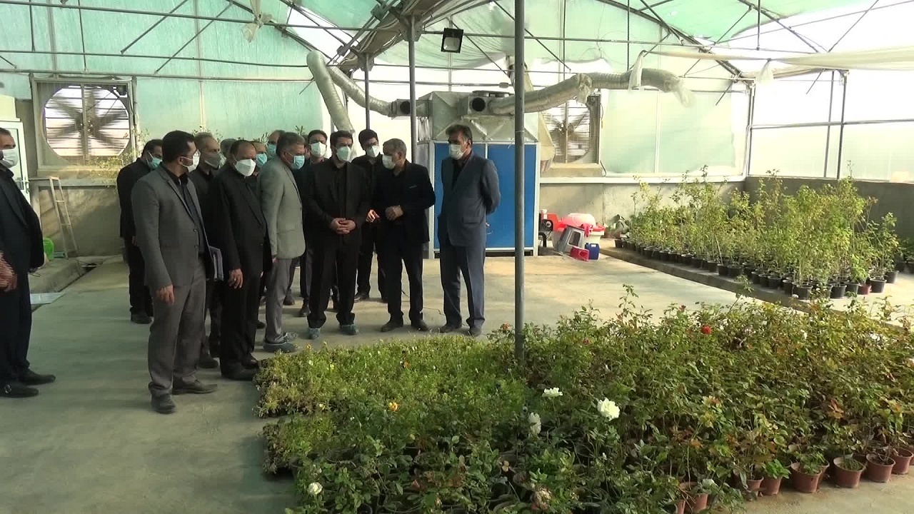 توسعه کشت علوفه هیدروپونیک، در دستور کار ویژه خراسان جنوبی