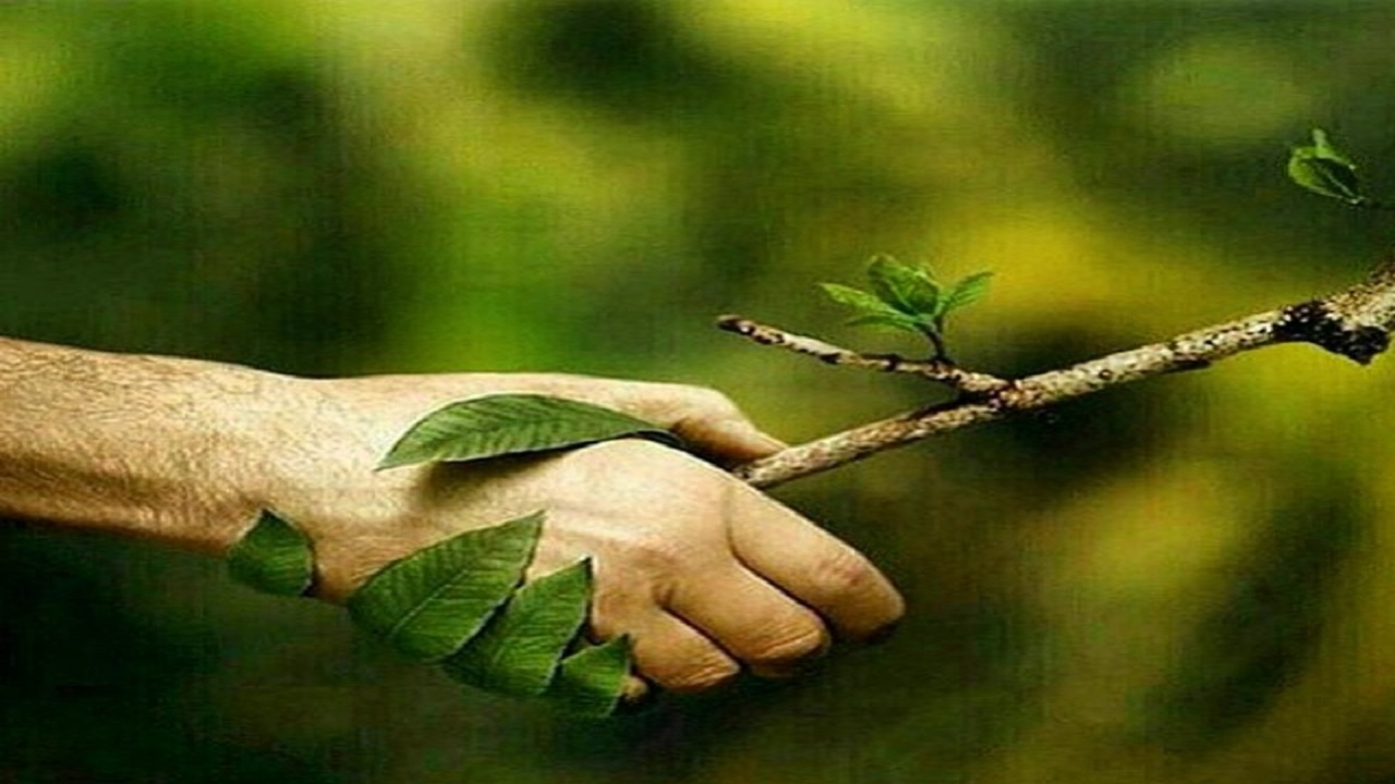 جشنواره نقاشی‌ مهربان با طبیعت در همدان برگزار می شود