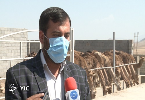 گنج کویر به چهارمحال و بختیاری آمد