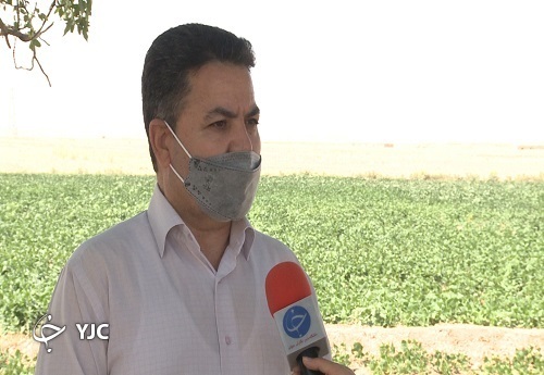 گنج کویر به چهارمحال و بختیاری آمد