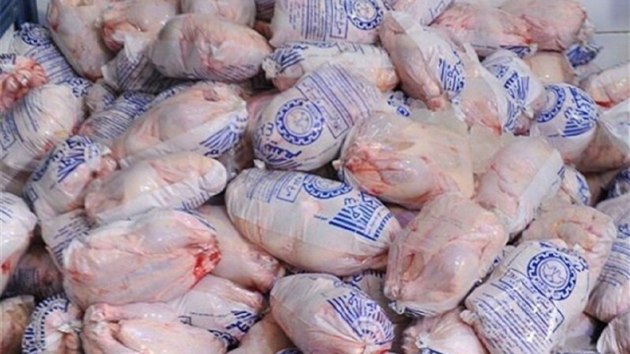 کشف بیش از یک هزار قطعه مرغ بدون مجوز در ملایر