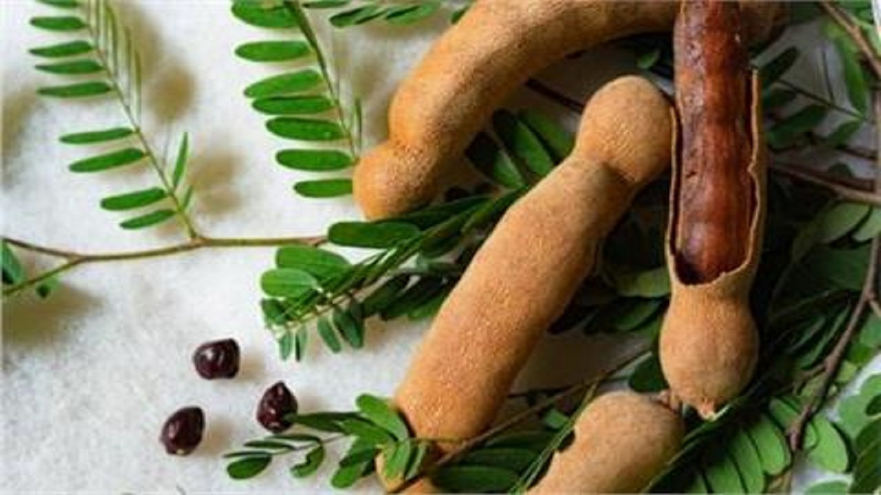 از یافته جدید دانشمندان در خصوص ارتباط میگرن و سرگیجه تا ۸ مزیت تمرهندی برای سلامتی