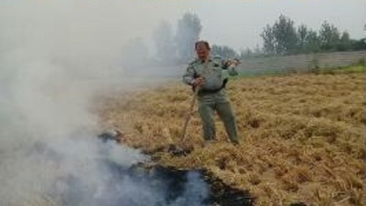 عاملان آتش زدن کاه و کلش در آمل پشت میز محاکمه
