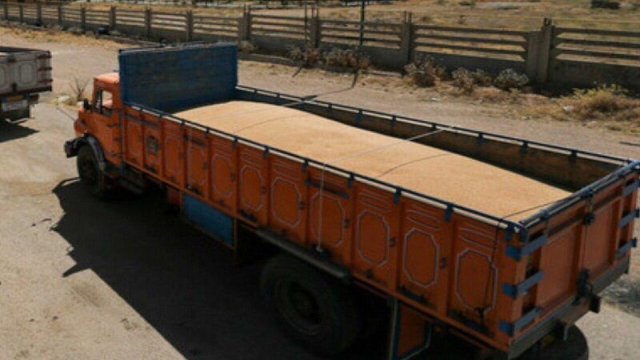 شناسایی ۳ محموله ۵۳ تنی گندم
