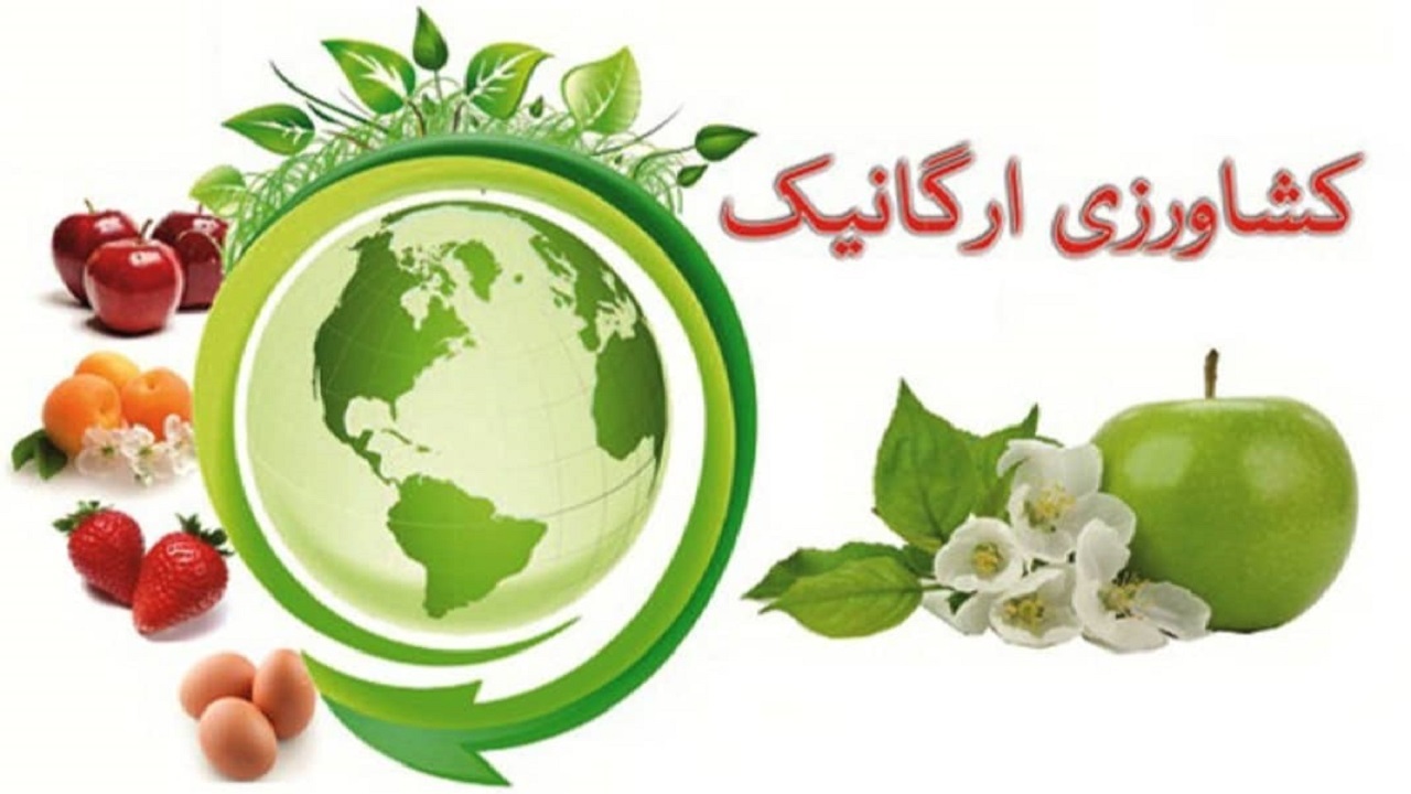 اعطای نشان حد مجاز آلاینده به محصولات انگور و خربزه تایباد