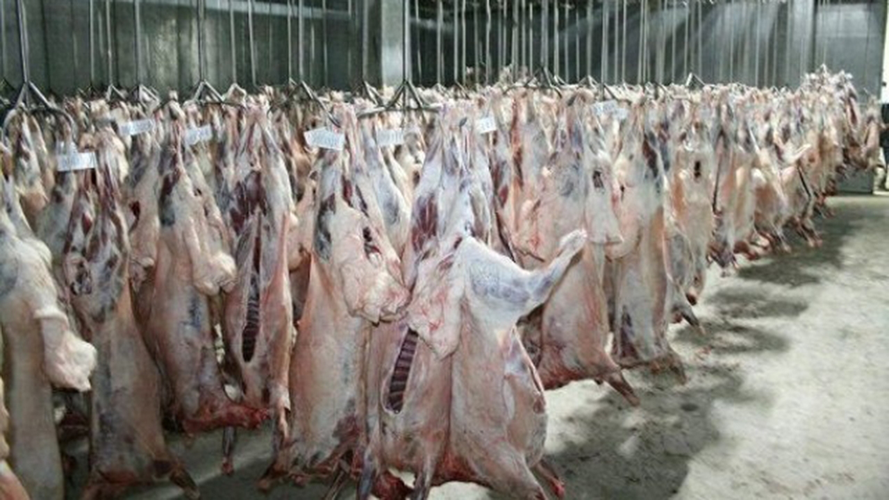 دریافت نشان حلال توسط کشتارگاه صنعتی بهین دام مرودشت