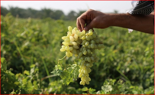 گنج کویر به چهارمحال و بختیاری آمد/ بازار تاریخی نطنز جان می&zwnj;گیرد/ اورامانات چاه نفت دائمی برای درآمدزایی