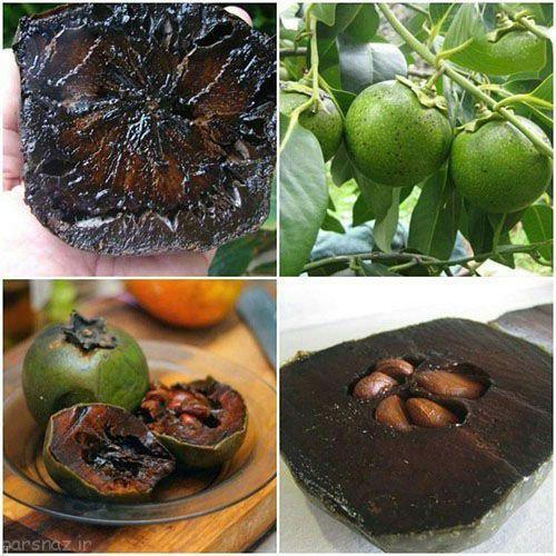 واقعیت های عجیب و غریب در طول تاریخ+تصاویر