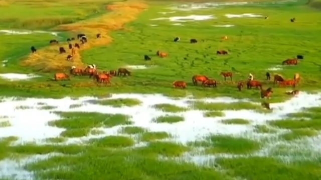 تالاب بسیار زیبای هندخاله در صومعه‌سرا + فیلم