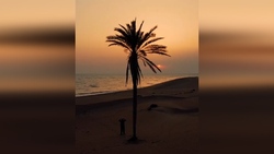 طبیعت فوق العاده دیدنی چین + فیلم