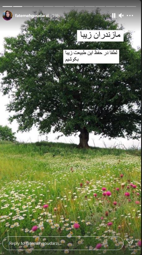 فاطمه گودرزی