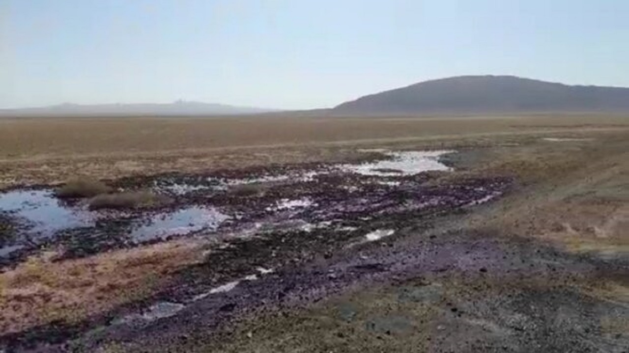 کام گاوخونی با لجن نفتی‌تر شد