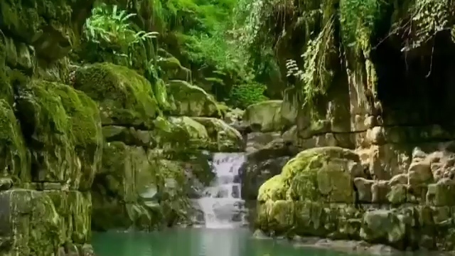 بهشتی در نشتارود + فیلم
