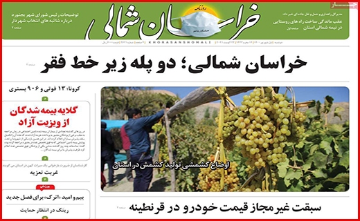 درماندگی درمانگر/ زخم زمین خواری/ واکسن تقلبی نخرید!