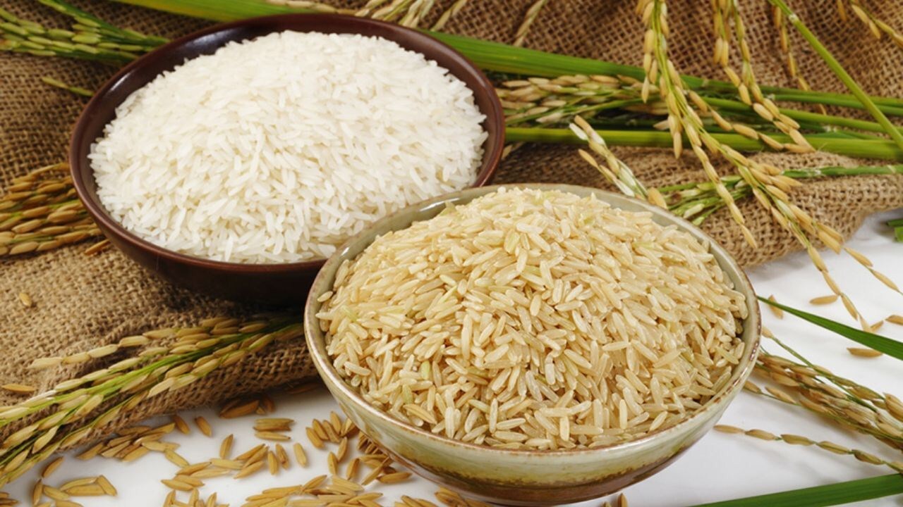 ممنوعیت ورود فصلی برنج عاملی برای التهاب بازار برنج