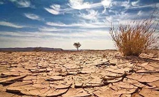 ریزگردها