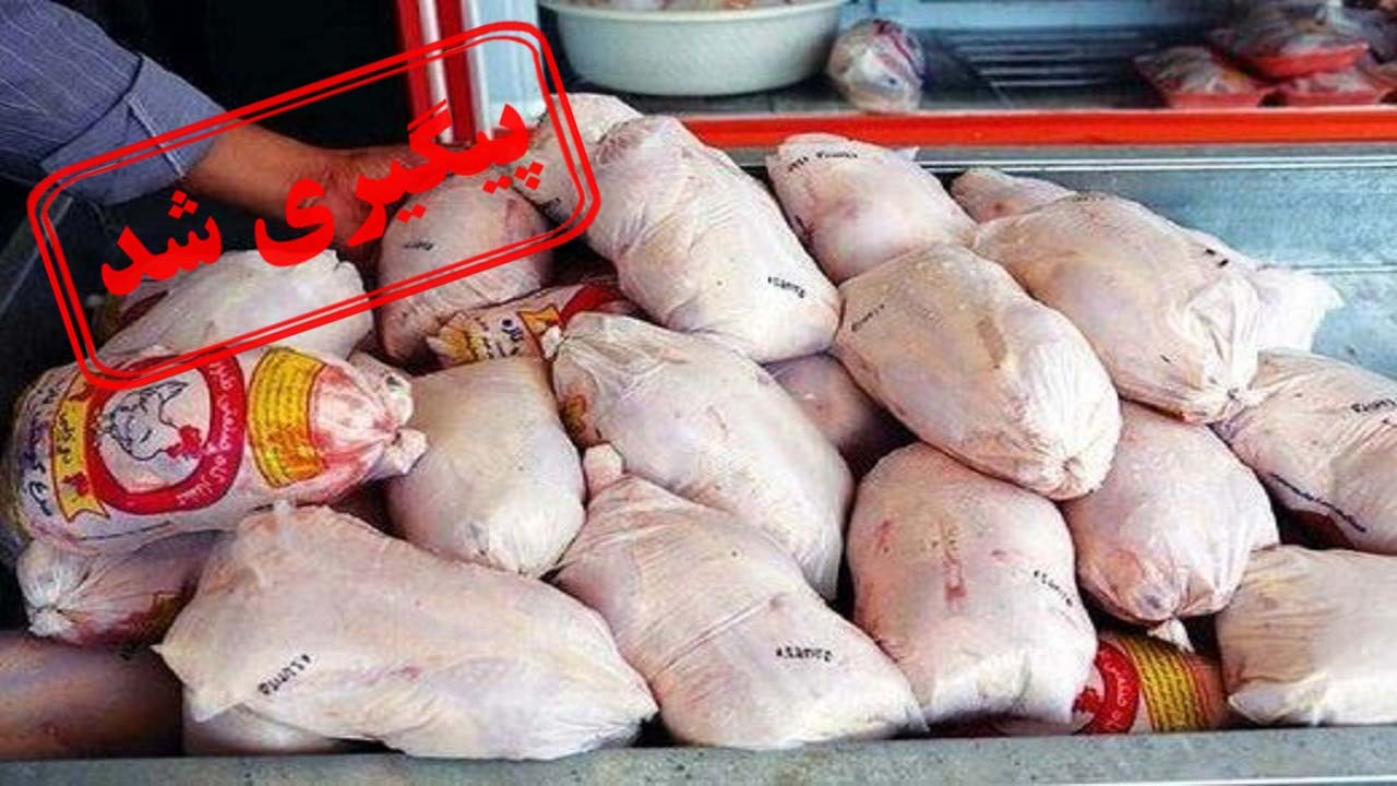 افزایش قیمت مرغ در فردیس پیگیری شد