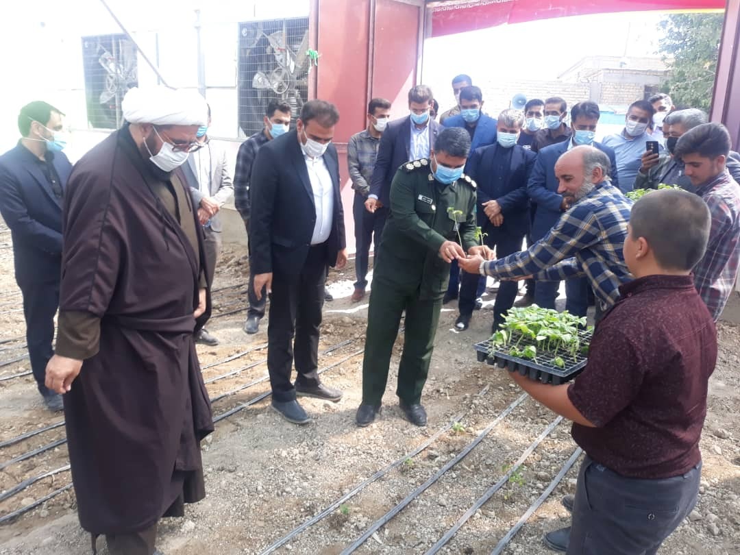 افتتاح فاز یک روستای گلخانه‌ای شهرستان کوار