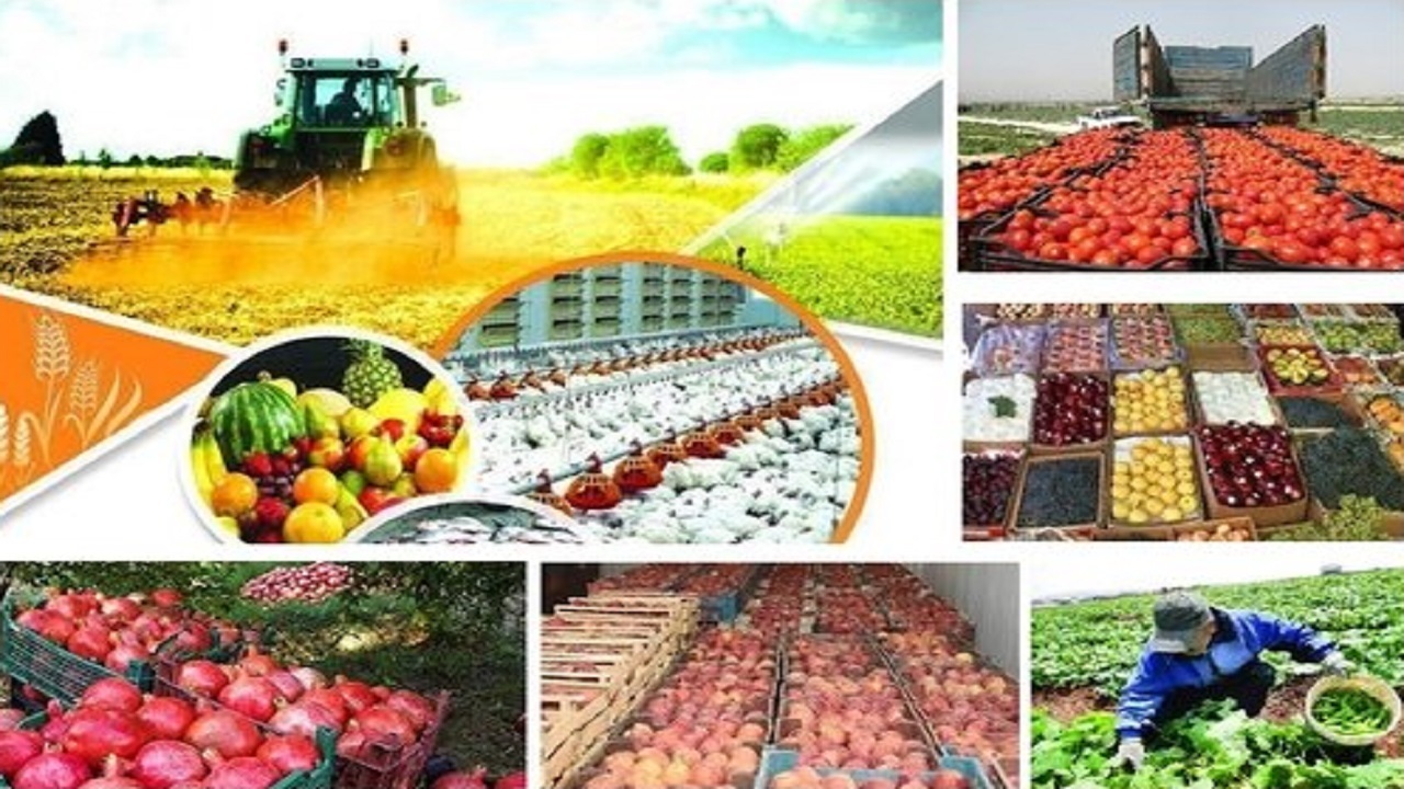 افزایش ۲۰ درصدی متقاضیان تولید محصول گواهی شده در شیراز