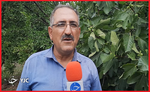 کشاورز طارمی