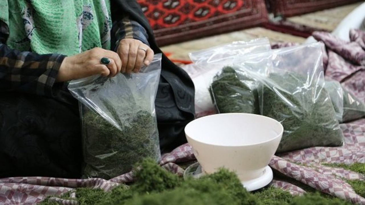 افزایش پنج برابری حجم تسهیلات مشاغل خانگی در سبزوار