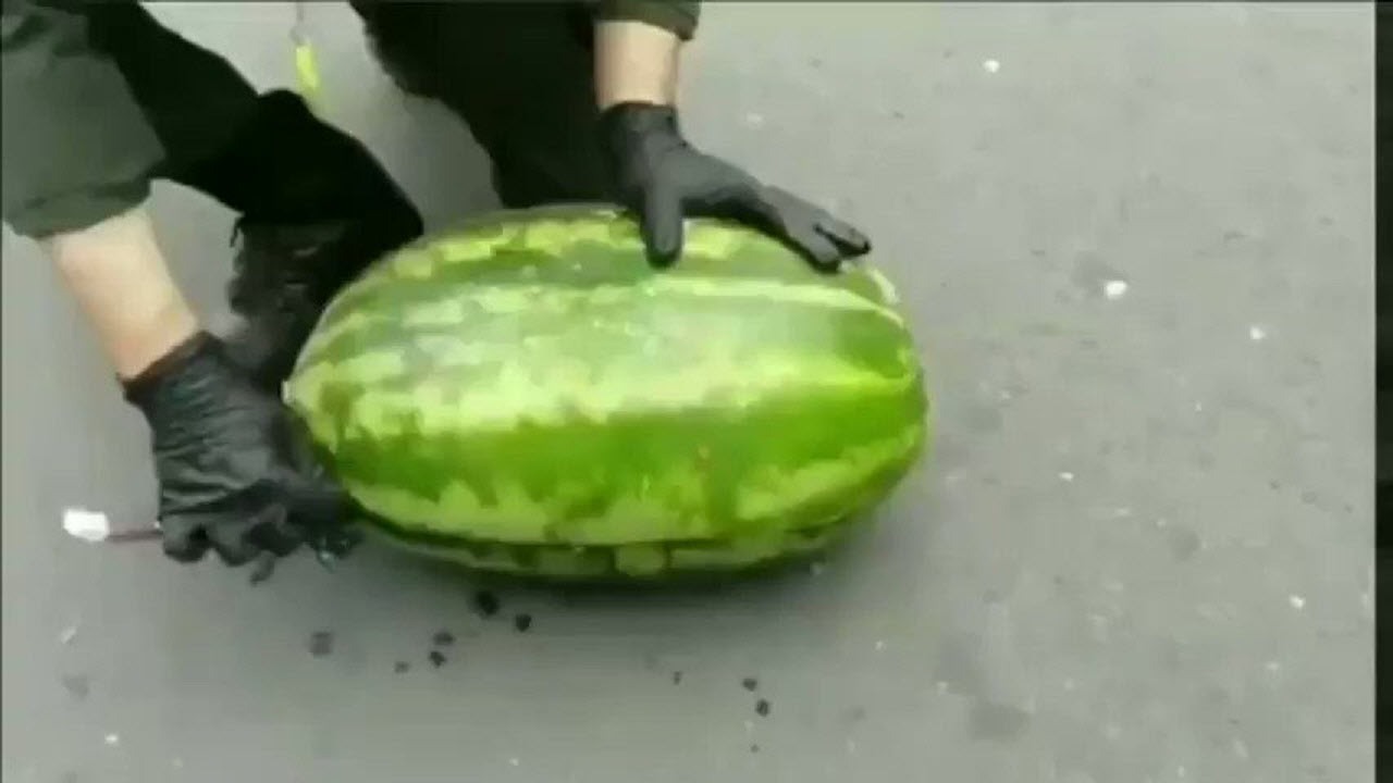 شگرد قاچاقچیان برای حمل مواد مخدر در هندوانه!