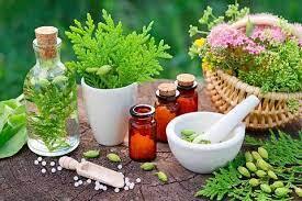نادیده گرفتن طب سنتی برای درمان ویروس کرونا/ رشد بیش از هزار گونه گیاه دارویی در ایران
